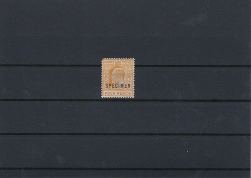 Bahamas 1902 mounted - 1902,
